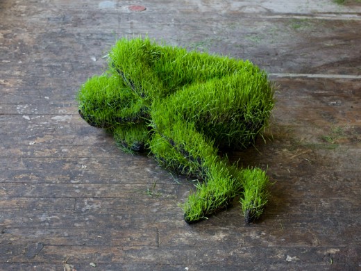 34_mathilderoussellifesofgrass11-520x390.jpg